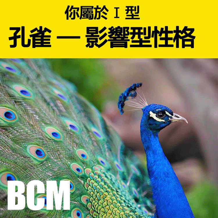 DISC-I-Result DISC Peacock
